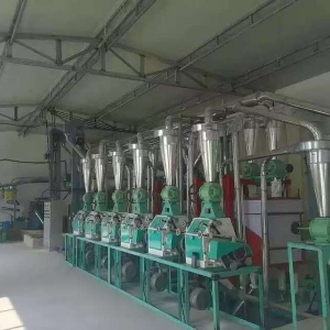 6FTDP-50型地平式方筛